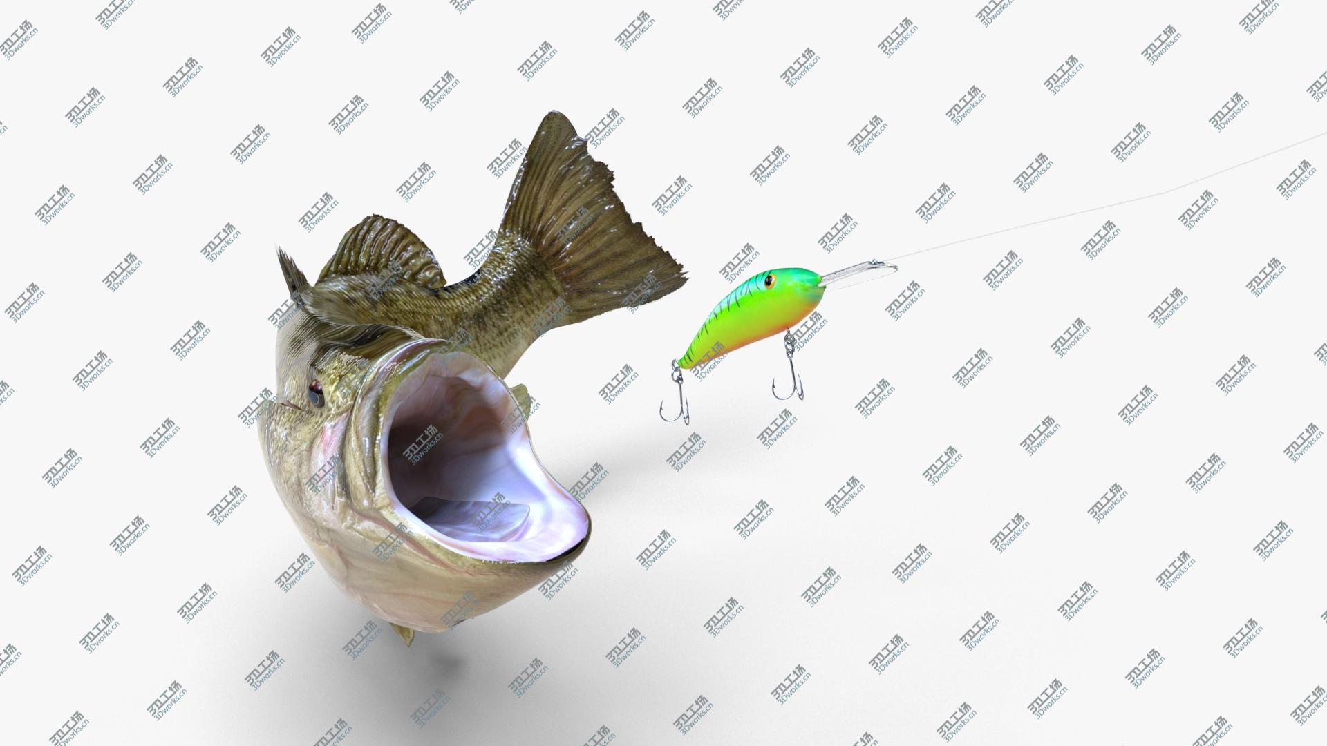 images/goods_img/202104092/3D model Fish Collection Vol2/3.jpg